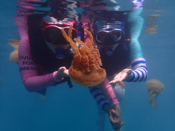 太平洋有名的海岛,太平洋岛国帕劳地理位置