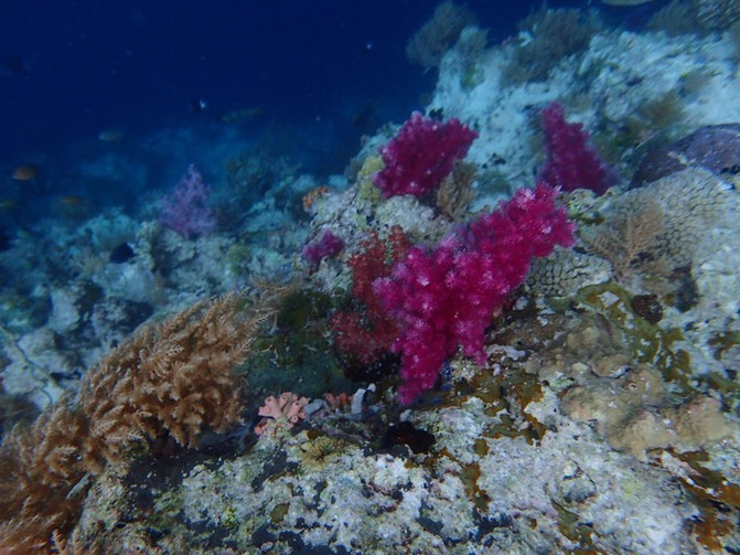 闺蜜一起游东湖公园,跟闺蜜一起去观光大海