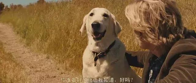 确认过的眼神是我想宠的人,确认过眼神是我想撩的灵魂