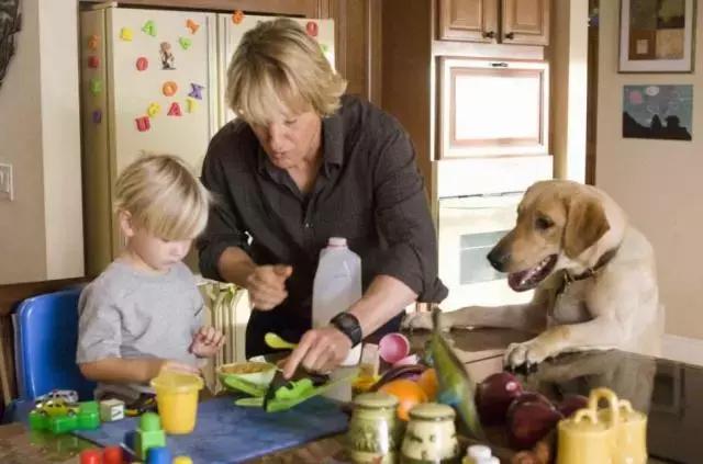 确认过的眼神是我想宠的人,确认过眼神是我想撩的灵魂