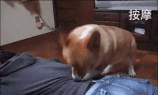 确认过的眼神是我想宠的人,确认过眼神是我想撩的灵魂