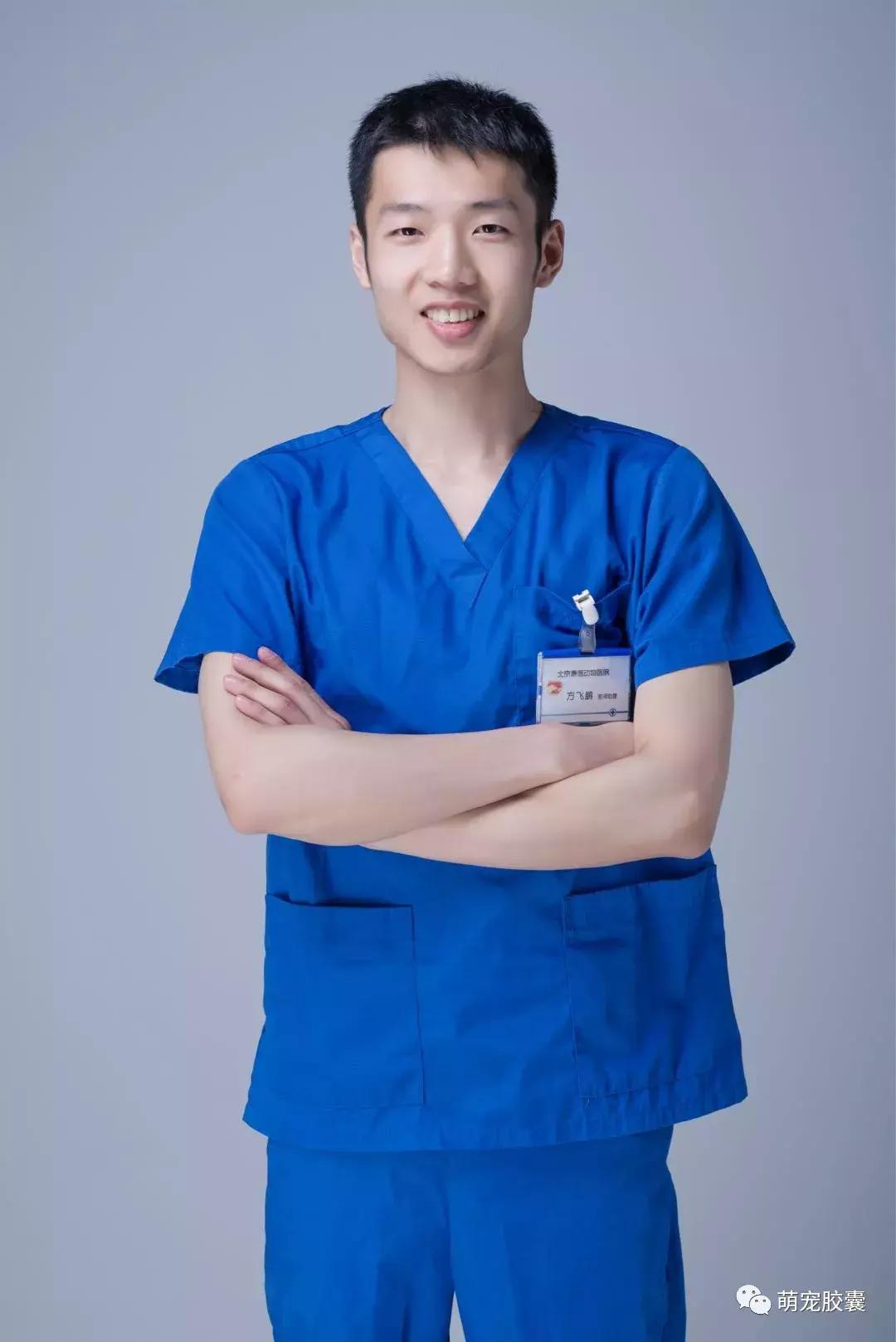 【V-story】做一名宠物医师是种怎样的体验?(上)