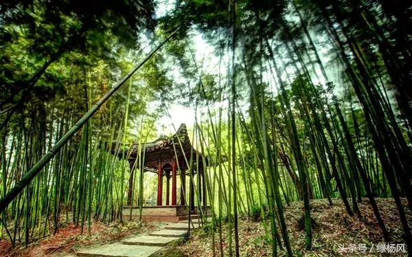 春节扬州瘦西湖门票免费吗,喜大普奔最新信息