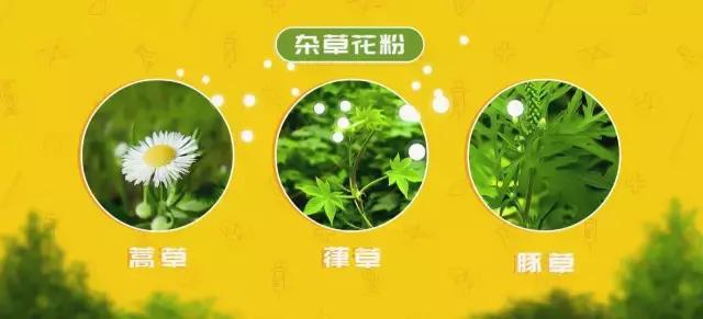 春天一直打喷嚏流鼻涕是怎么回事,一到秋季一直鼻涕喷嚏