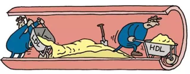 90%以上的人都用错了食用油！长年累月可能引发恶性肿瘤！