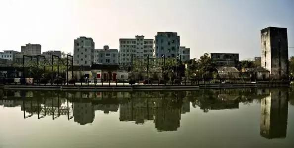 深圳仙湖植物园清明踏青赏花,深圳2022清明能去旅游吗