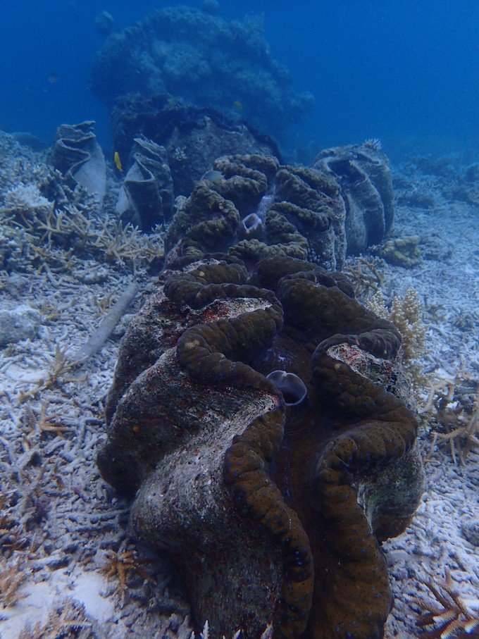 宝贝喜欢小金鱼,宝贝喜欢玩水