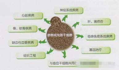 干细胞诱导治疗红斑狼疮,干细胞治疗系统性红斑狼疮效果