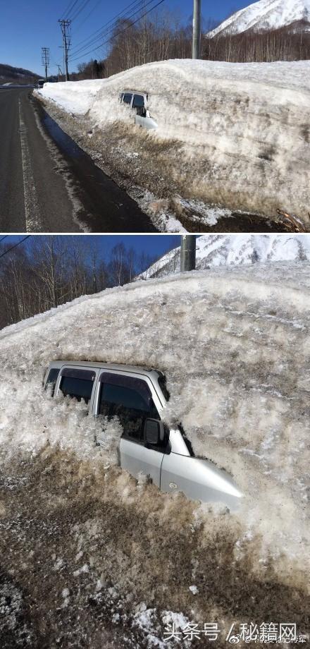 搞笑gif图姑娘你确定不是来搞笑的,搞笑gif图发现一只蠢萌的妹子