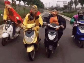 搞笑gif图姑娘你确定不是来搞笑的,搞笑gif图发现一只蠢萌的妹子