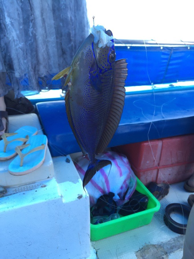 很少人知道的海岛国家！帕劳