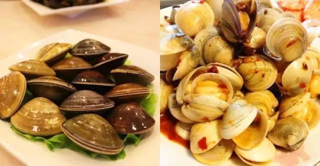 贝壳类海鲜最好吃有哪些,18款海鲜菜品分享给大家