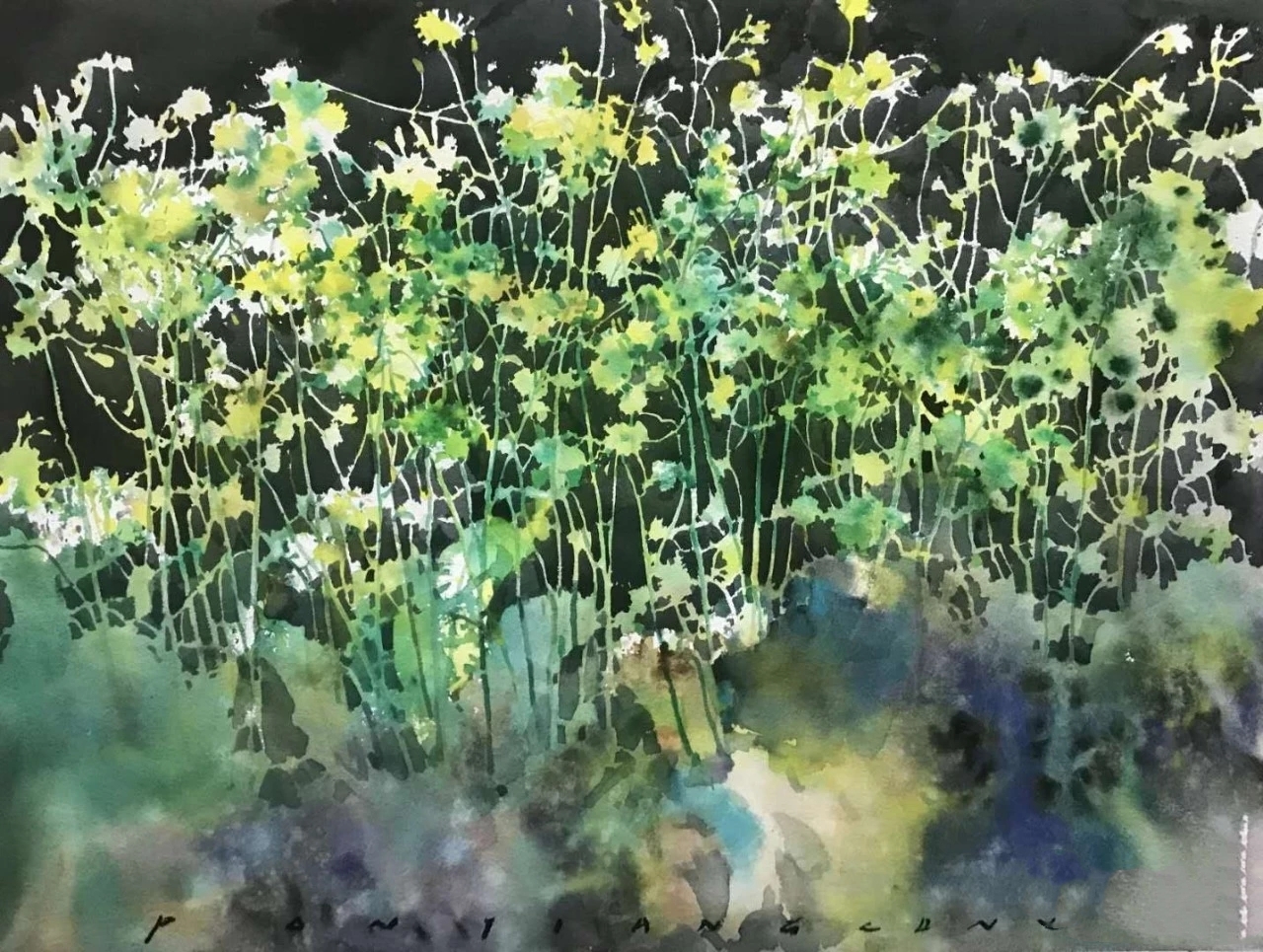 一组水彩,治愈型水彩作品