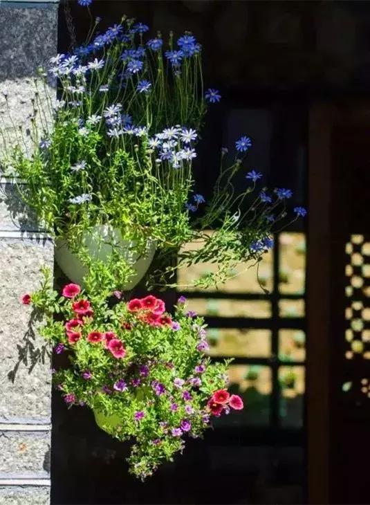 春来花自青秋至叶飘零原文解释,春来花自青秋至叶飘零出自哪里