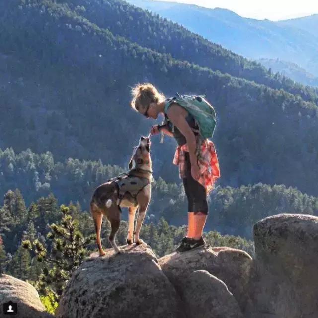 我有狗你有酒吗免费,我有狗你有酒吗