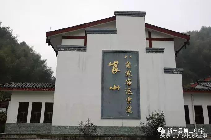 崀山鲸鱼闹海视频,不见鲸鱼的全部小说