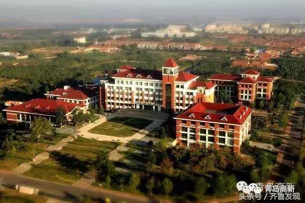 住在南海小岛上是一种怎样的体验,住在红岛的真实感受