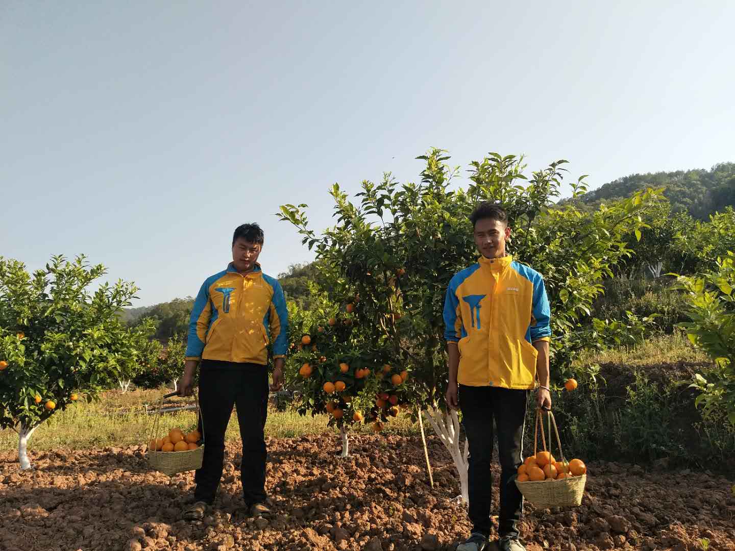 在海拔2000米卖家电?这位90后做到了!