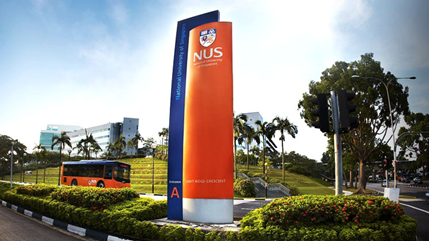 新加坡国大特优荣誉学位,新加坡国大商学院有多强