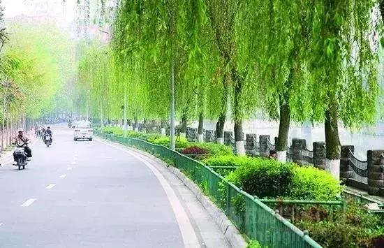 成都未来哪个片区发展规划最好,最新成都规划解读