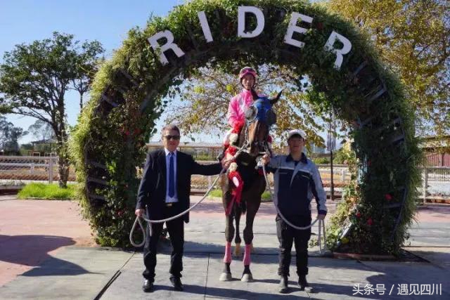冠军归来｜中华骑师再战“成都迪拜国际杯温江迈丹赛马经典赛”