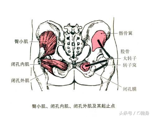kiki健身徒手背部训练,kiki健身一套动作练全身