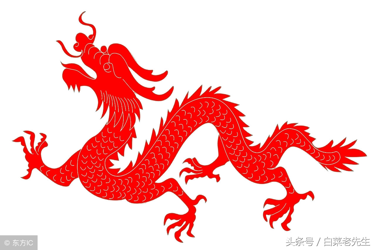 梦见十二属相是什么意思,梦到十二生肖体像