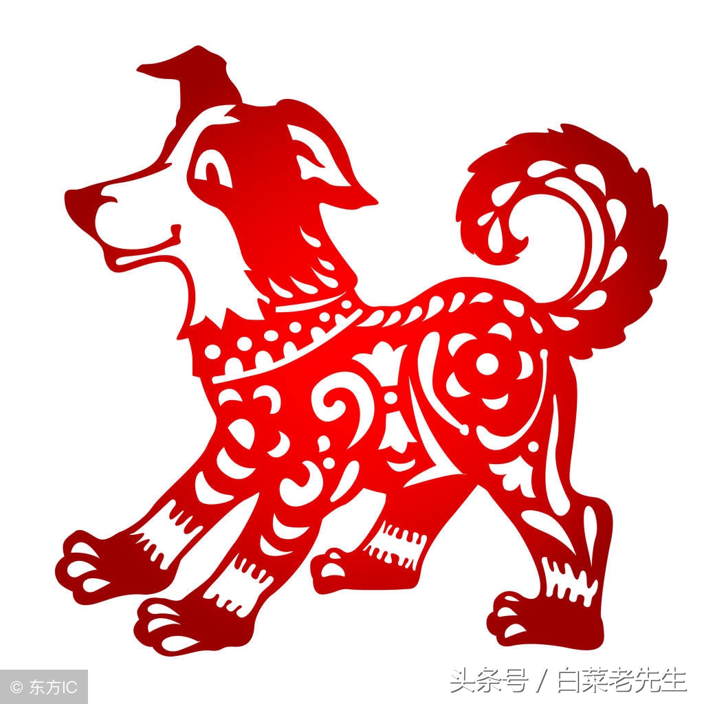 梦见出现12生肖的样子,梦见十二生肖分别代表着什么