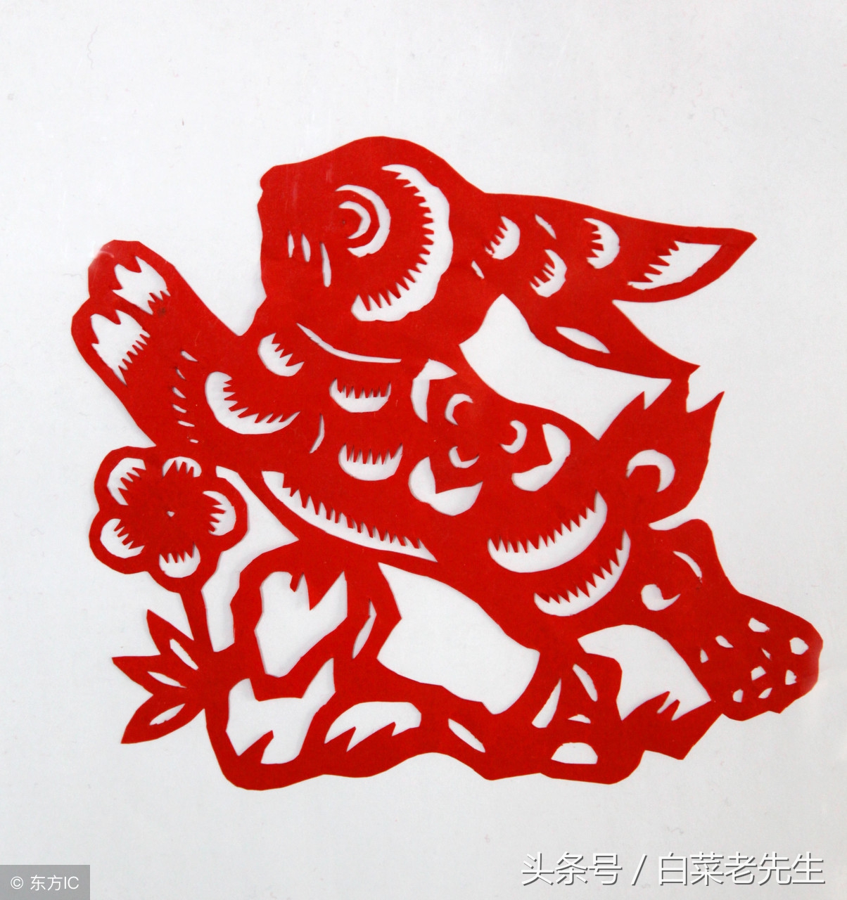 梦见十二属相是什么意思,梦到十二生肖体像