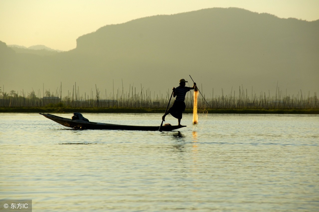 台钓竿鲢鳙竿,台钓竿溪流竿