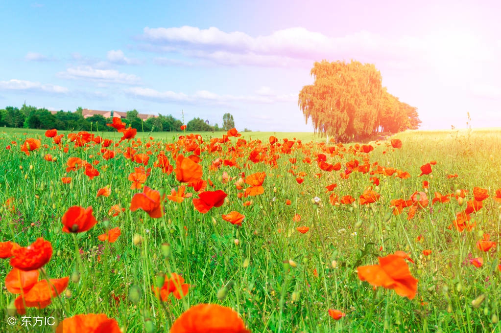 当你感觉到苦时,当你感到累了请记住这几点