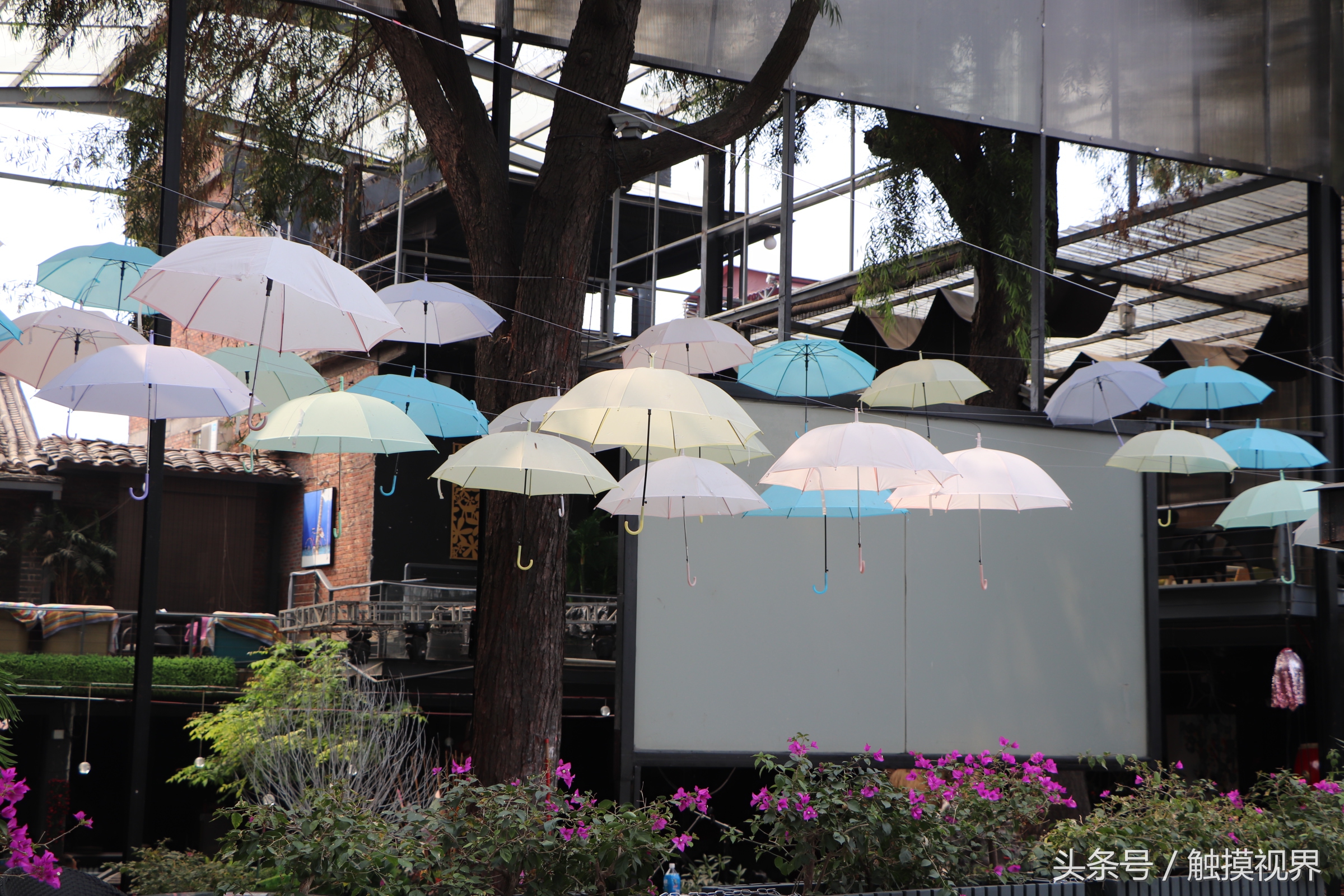 东莞万江下坝坊有什么好玩的地方,东莞万江下坝坊在哪里