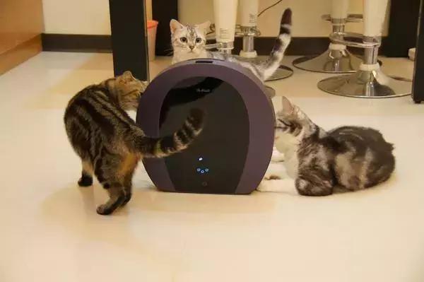 angelababy杨幂塑料姐妹情,angelababy林更新互怼