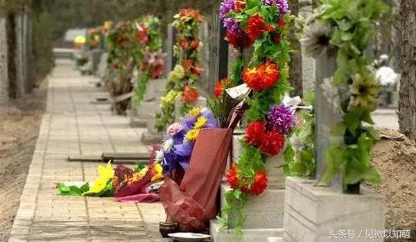 今年清明扫墓时间有讲究吗,清明节扫墓菊花禁忌