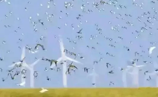 即将扩建南通又一个打卡新地标,南通未来地标效果图