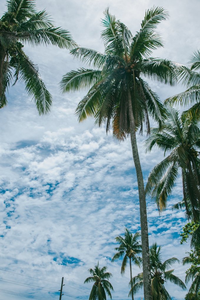 帕劳陆地环岛游,帕劳深度游玩攻略