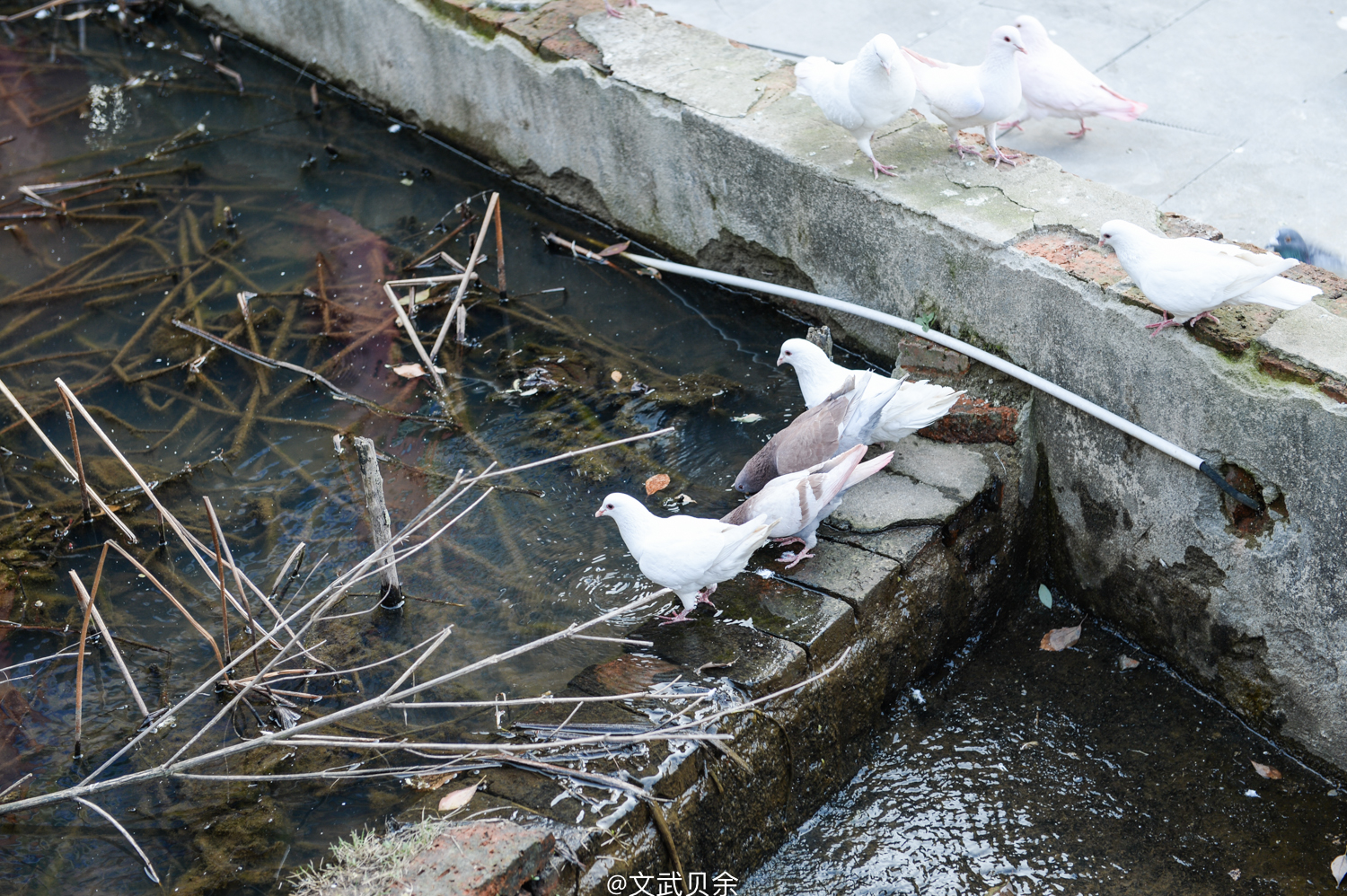 六安九十里山水画廊攻略,六安九十里山水画廊是啥