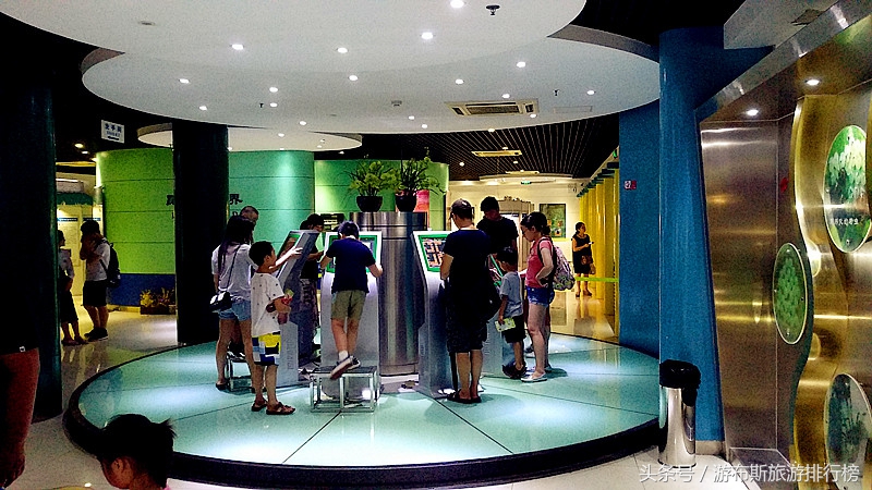 上海昆虫博物馆有哪些昆虫,上海昆虫博物馆照片