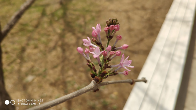 小米mix2s拍照测评,小米mix2s全面深度评测