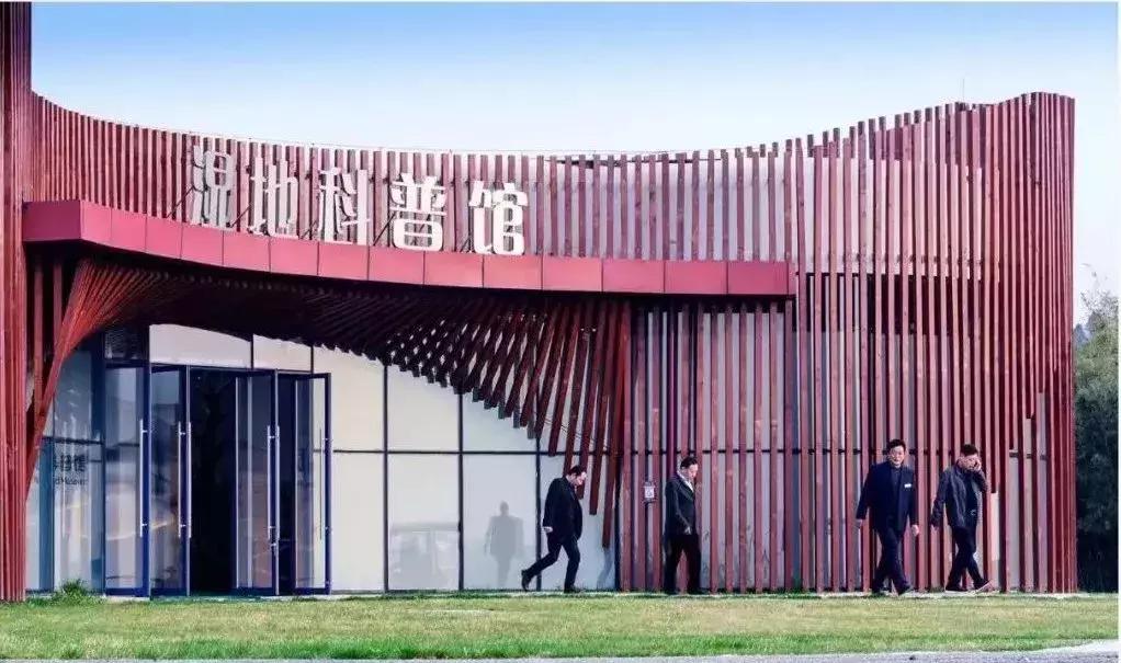 扬州中国风湿地公园,六月的扬州湿地公园