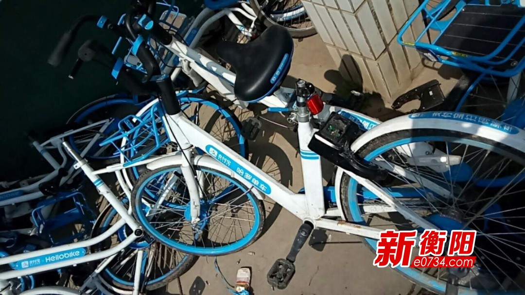 向不文明行为说“不”:哈罗单车呼吁用户文明骑行