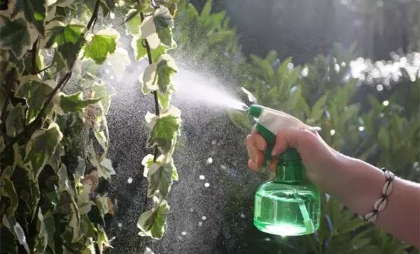 家里的花枯萎了怎么破解,家里的花干枯怎么办