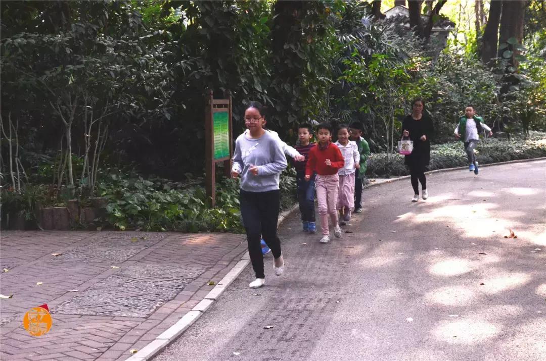 金花茶公园景点,走进金花茶公园