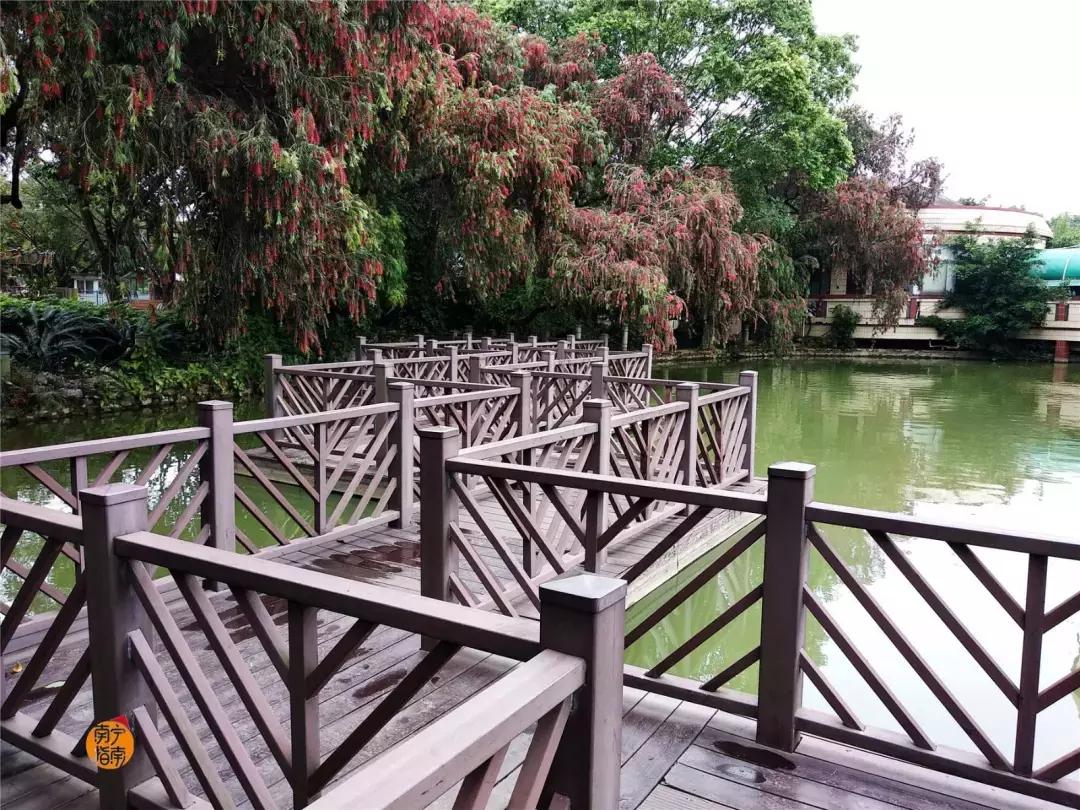 金花茶公园在什么地方,金花茶公园最新消息