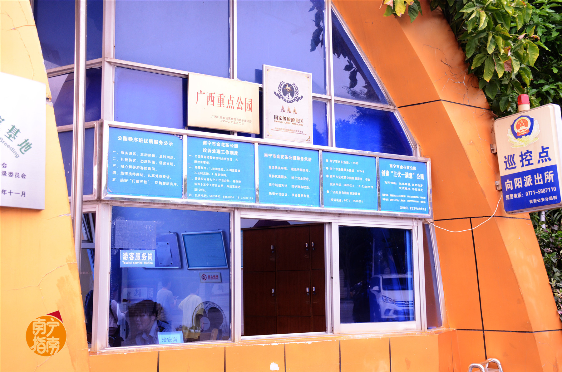 金花茶公园在什么地方,金花茶公园最新消息