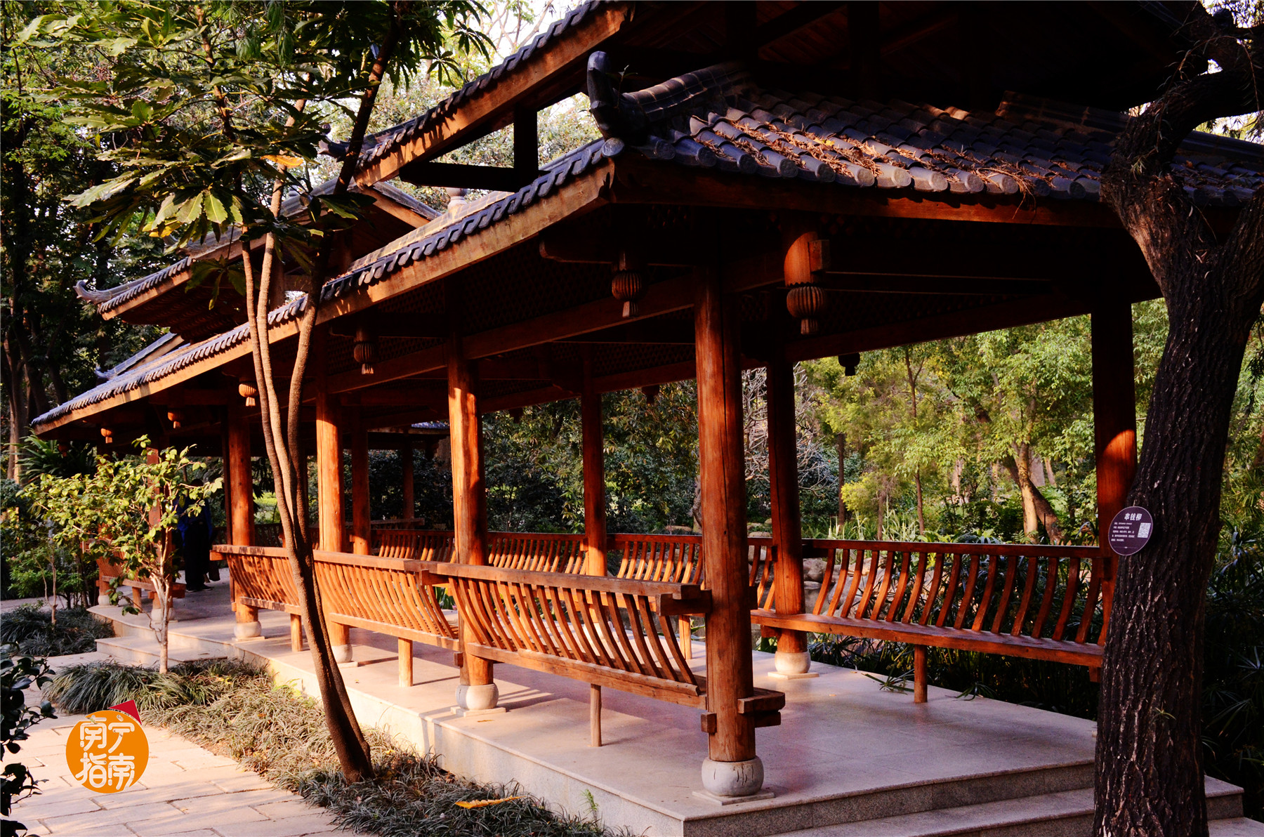 金花茶公园在什么地方,金花茶公园最新消息