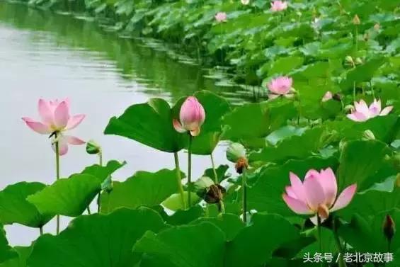 北京地铁旅游详细攻略图,北京地铁旅行攻略图