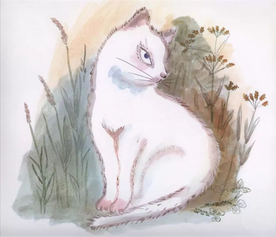 小班绘本清明节绘本完整版,适合清明读的绘本