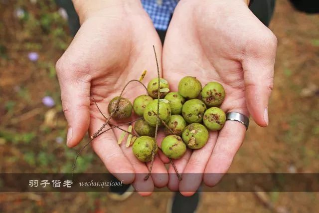 云南沧源靠近哪个国家,云南沧源最好玩的地方