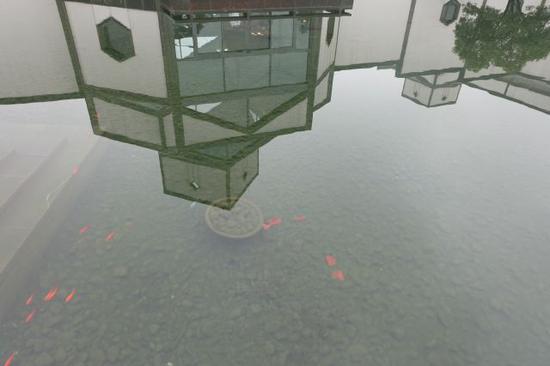 苏州清明旅游攻略路线推荐,苏州清明旅游攻略一日游